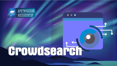 Crowdsearch