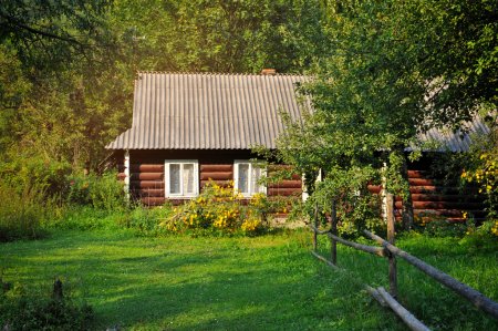 Черепашкин рай